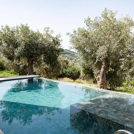Dohos Skiathos Guest house