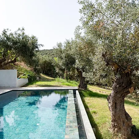 Guest house Dohos Skiathos *